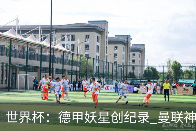 世界杯：德甲妖星创纪录 曼联神锋90分钟绝杀 科特迪瓦1-0厄瓜多尔